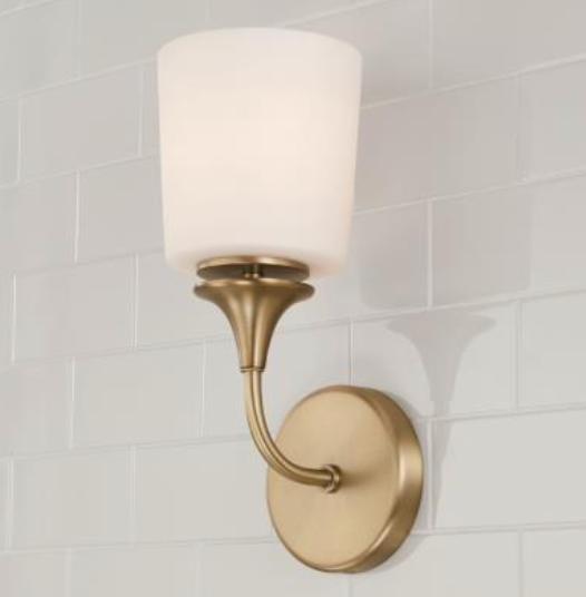 Lisa 1 Light Wall Sconce - Modern Plug-in Wall Lamp with Adjustable Arm for Bedroom, Living Room & Hallway Lighting