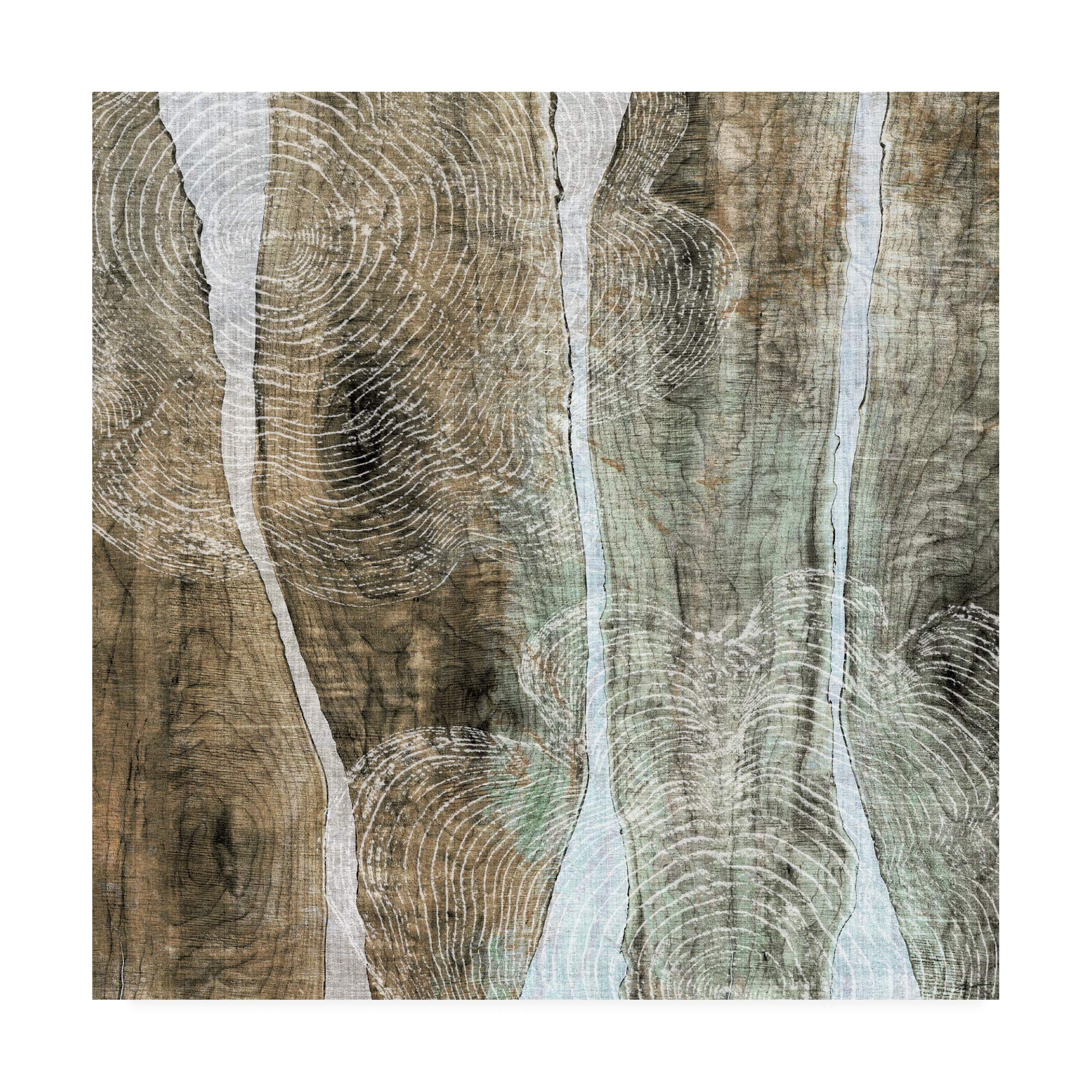 Trademark Fine Art Live Edge IV by John Butler - 18x18 Inch Canvas Wall Art - Perfect for Living Room, Bedroom & Office Decor
