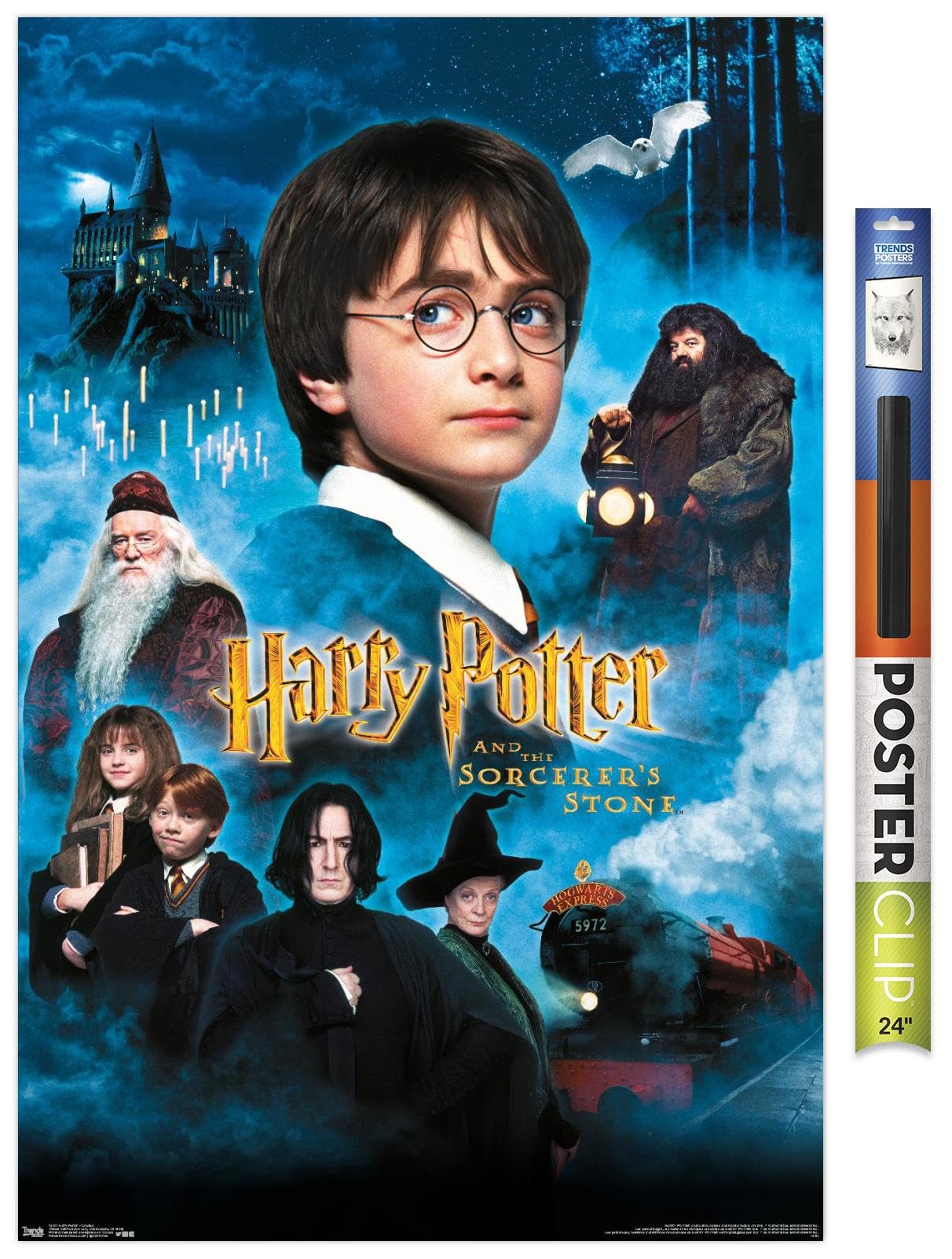 Trends International Harry Potter and the Sorcerer's Stone Movie Poster - 22.375