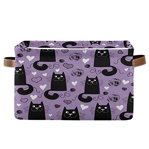 Cute Black Cat
