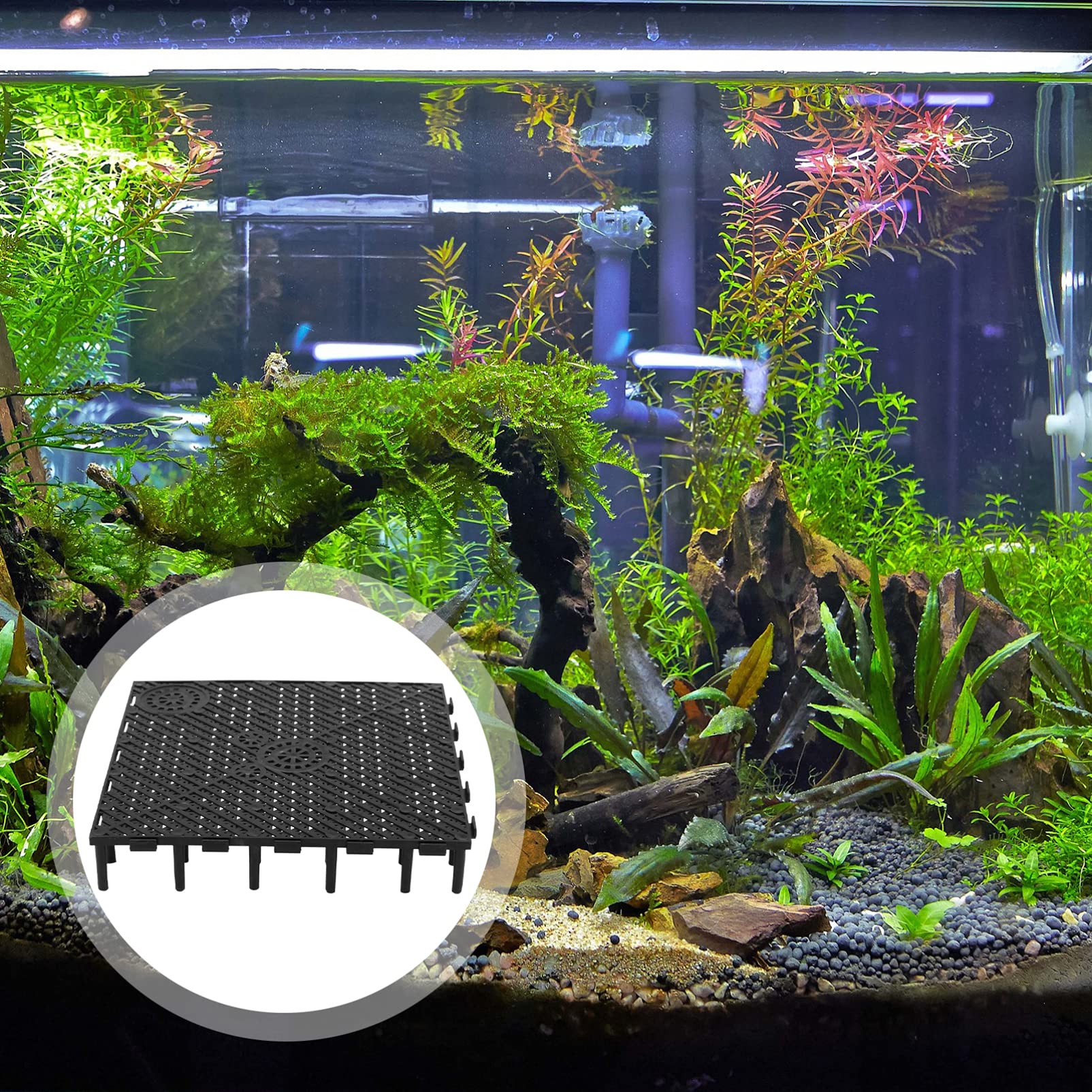 iplusmile 10 Gallon Aquarium Bottom Plate - Fish Tank Divider & Undergravel Plate (20pcs) - Perfect for Aquarium Setup, Fish Tank Separation, and Aquatic Plant Arrangement