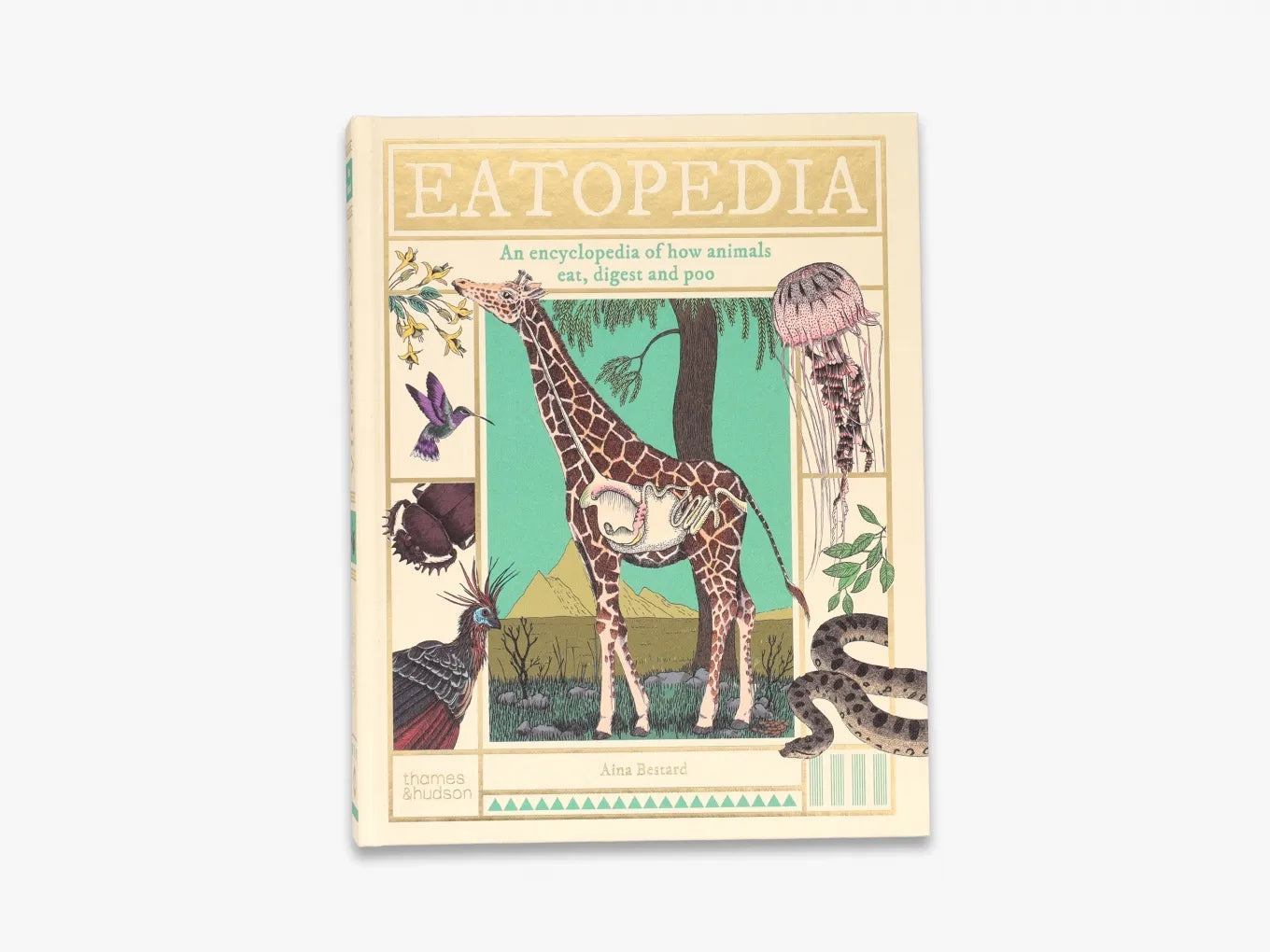 Eatopedia - Premium Healthy Snacks & Organic Food Online Store | Buy Nutritious Snacks, Gluten-Free & Vegan Options for Home, Office & Travel