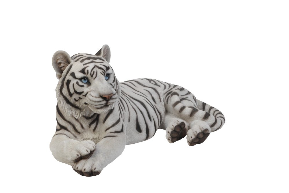 Hi-Line Gift Ltd White Tiger Statue - Elegant Lying Down Tiger Sculpture for Home Decor, Office Desk, or Garden Accent