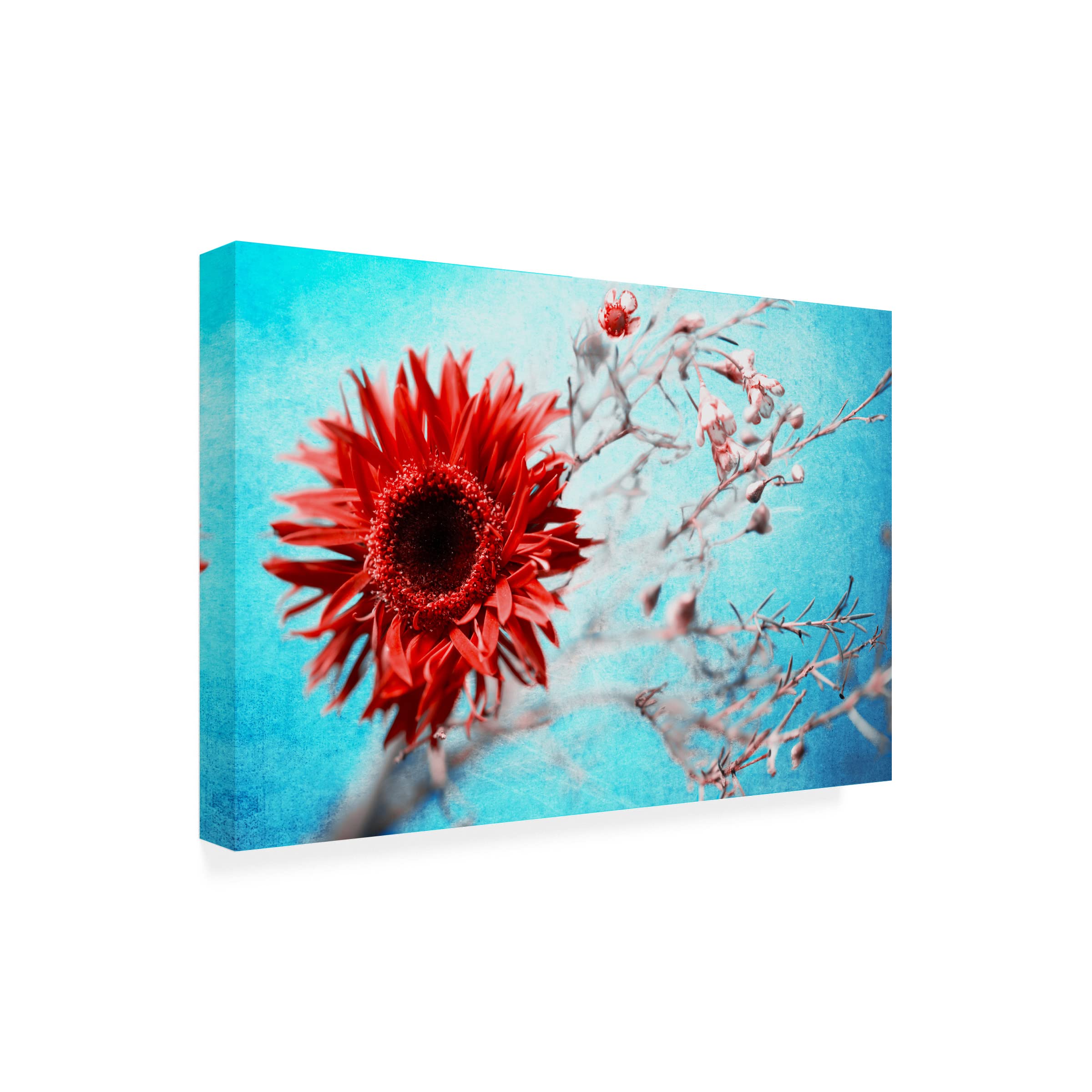 Mike Kreiten 'Marigold' Canvas Wall Art Print - Handmade Floral Oil Painting Reproduction for Living Room, Bedroom & Office Decor