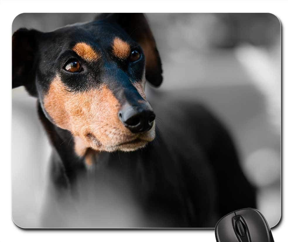 Premium Mouse Pads with Cute Dog Design - Animal Pet Themed Gaming & Office Accessories for Dog Lovers | Perfect for Work, Gaming & Home Office Use