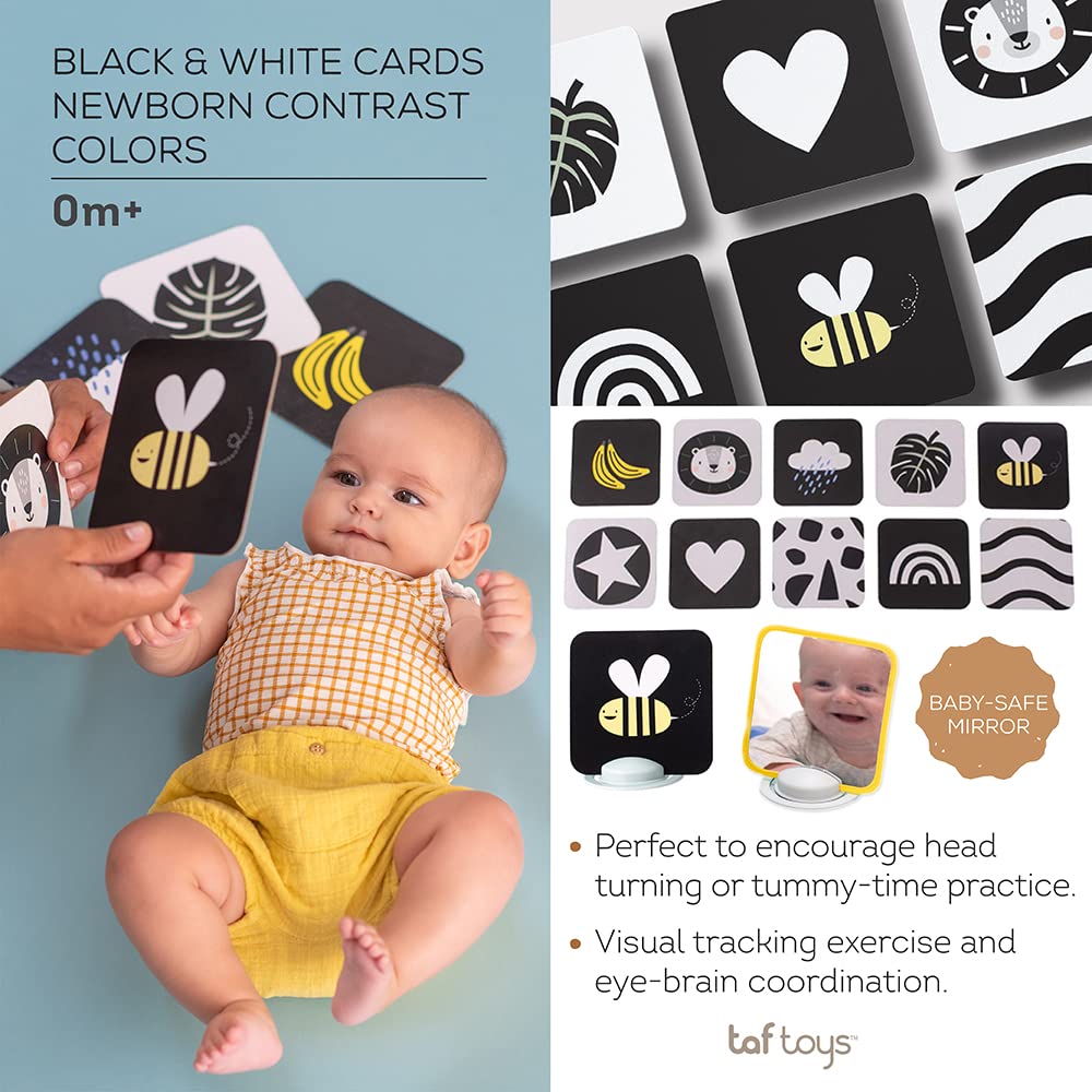 Taf Toys - 12835 - Activity Cards for Babies & Toddlers - Educational Learning Games for Early Development - Perfect for Playtime & Travel