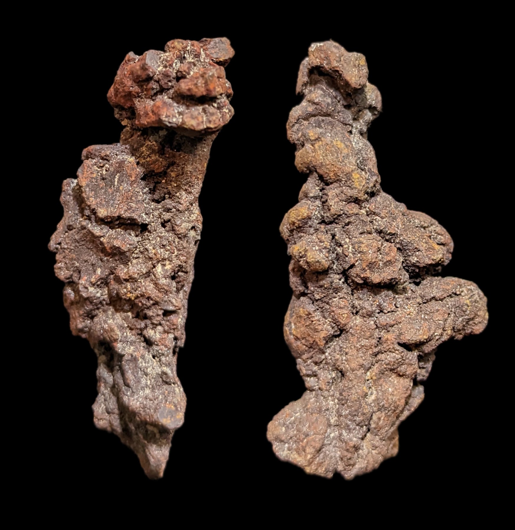 Authentic Coprolite Fossil Specimen - Rare Dinosaur Dung Stone for Collectors & Paleontology Enthusiasts | Perfect for Home Decor, Science Education & Unique Gift Ideas