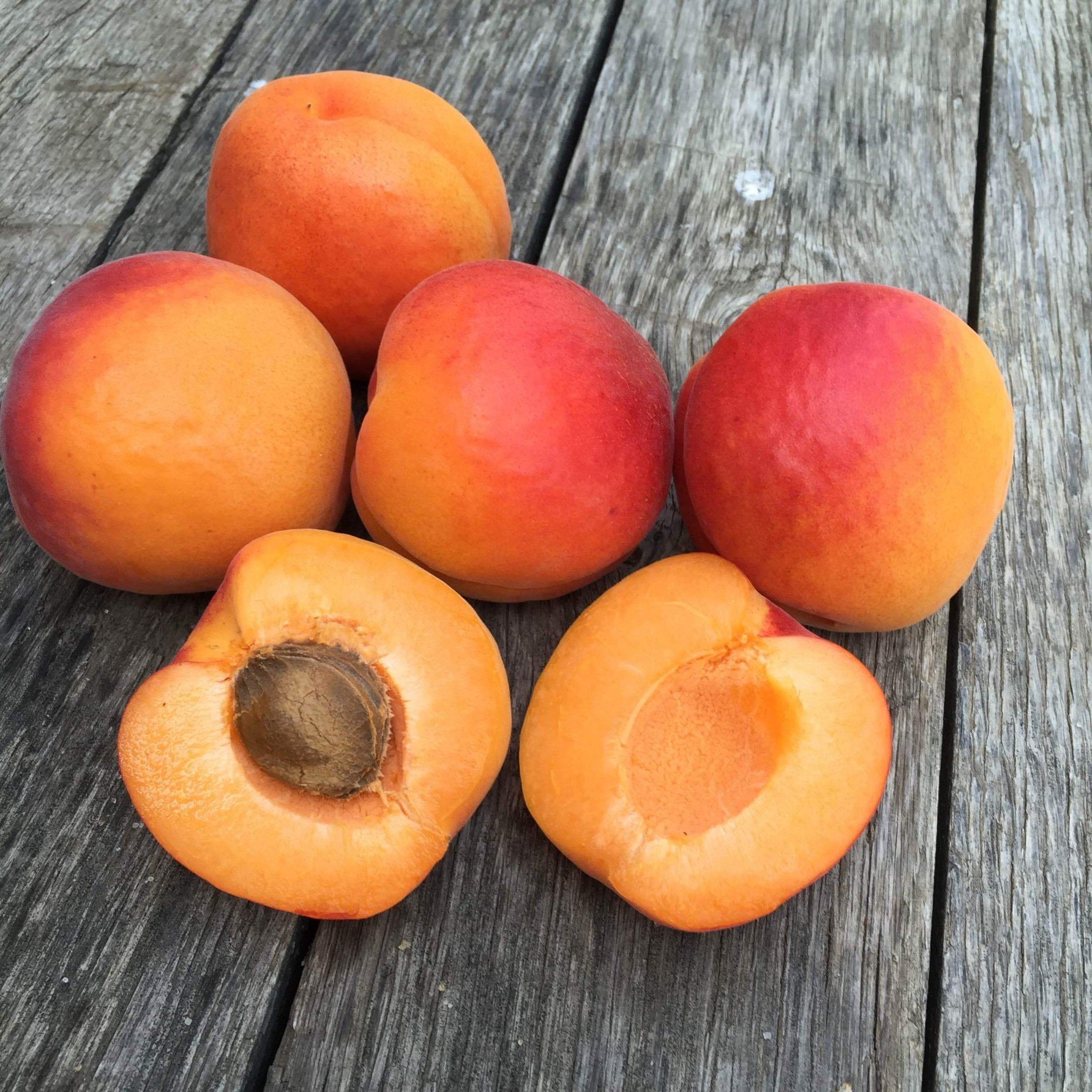 Organic Apricots Subscription Box | Fresh & Healthy Dried Apricots Delivered | 4 Seasonal Shipments | Perfect for Snacking, Baking & Gift Giving
