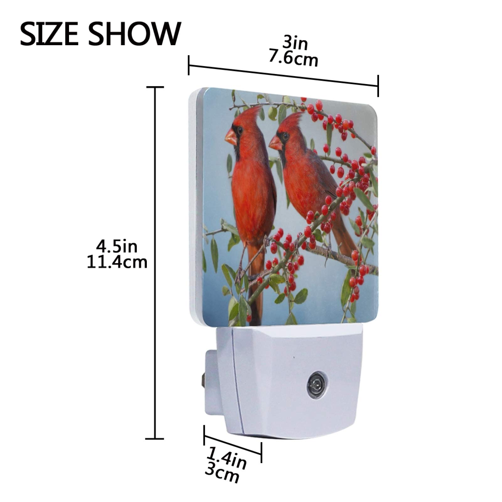 Vikko 2 Pack LED Night Light with Dusk to Dawn Sensor - Winter Red Cardinals Birds Plug-in Nightlight for Bedroom, Living Room, Hallway | Energy Efficient Kids & Adults Night Lamp for Home Decor, Nursery, Bathroom Safety Lighting