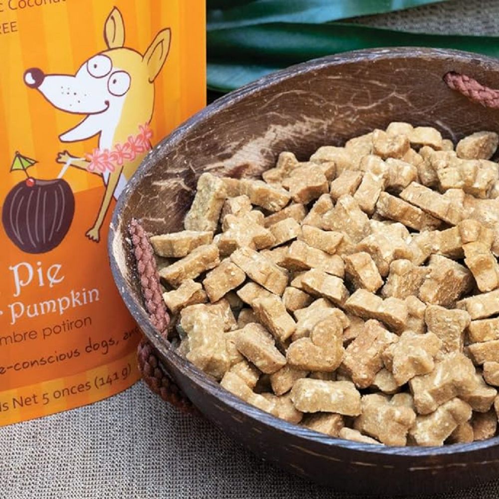 Organic Pumpkin Pie Dog Training Treats by Coco Charms - Healthy Rewards for Obedience Training & Positive Reinforcement | Perfect for Puppies & Small Dogs