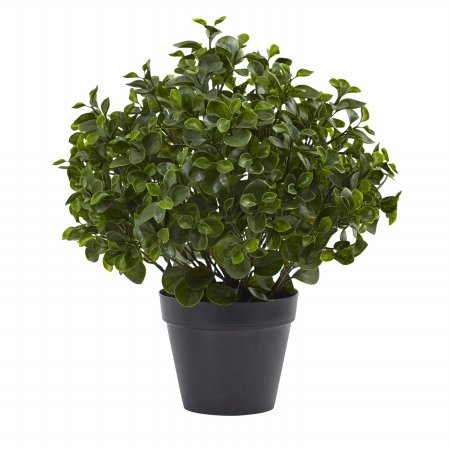 23 Inch Peperomia Plant - UV Resistant Indoor Outdoor Houseplant for Home, Office, Patio & Garden Decor