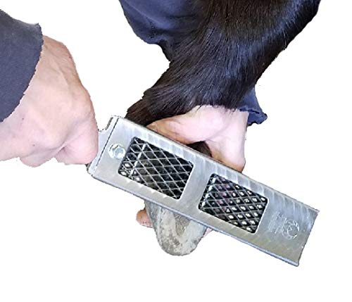 Cody James Littlefoot Hoof Rasp - Best Mini Hoof File for Trimming Small Horse & Goat Hooves - Fine, Medium, Aggressive Grit Options (Fine) - Perfect for Farriers & Livestock Owners