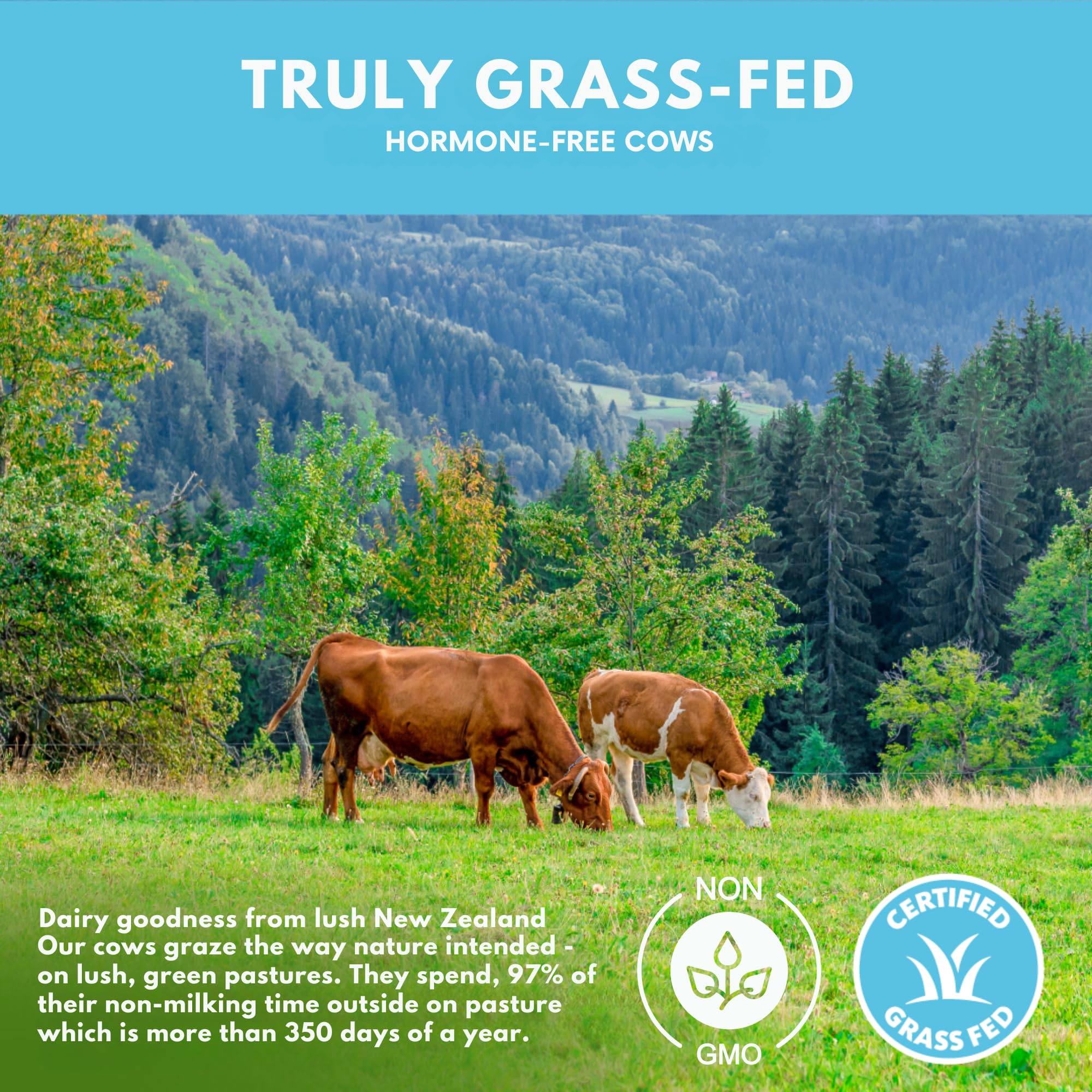 Grass Fed Vanilla Whey Protein Isolate Powder - 22g Protein Per Serving, No Artificial Sweeteners, Hormone-Free, Non-GMO, 5lb for Post-Workout Recovery & Muscle Building