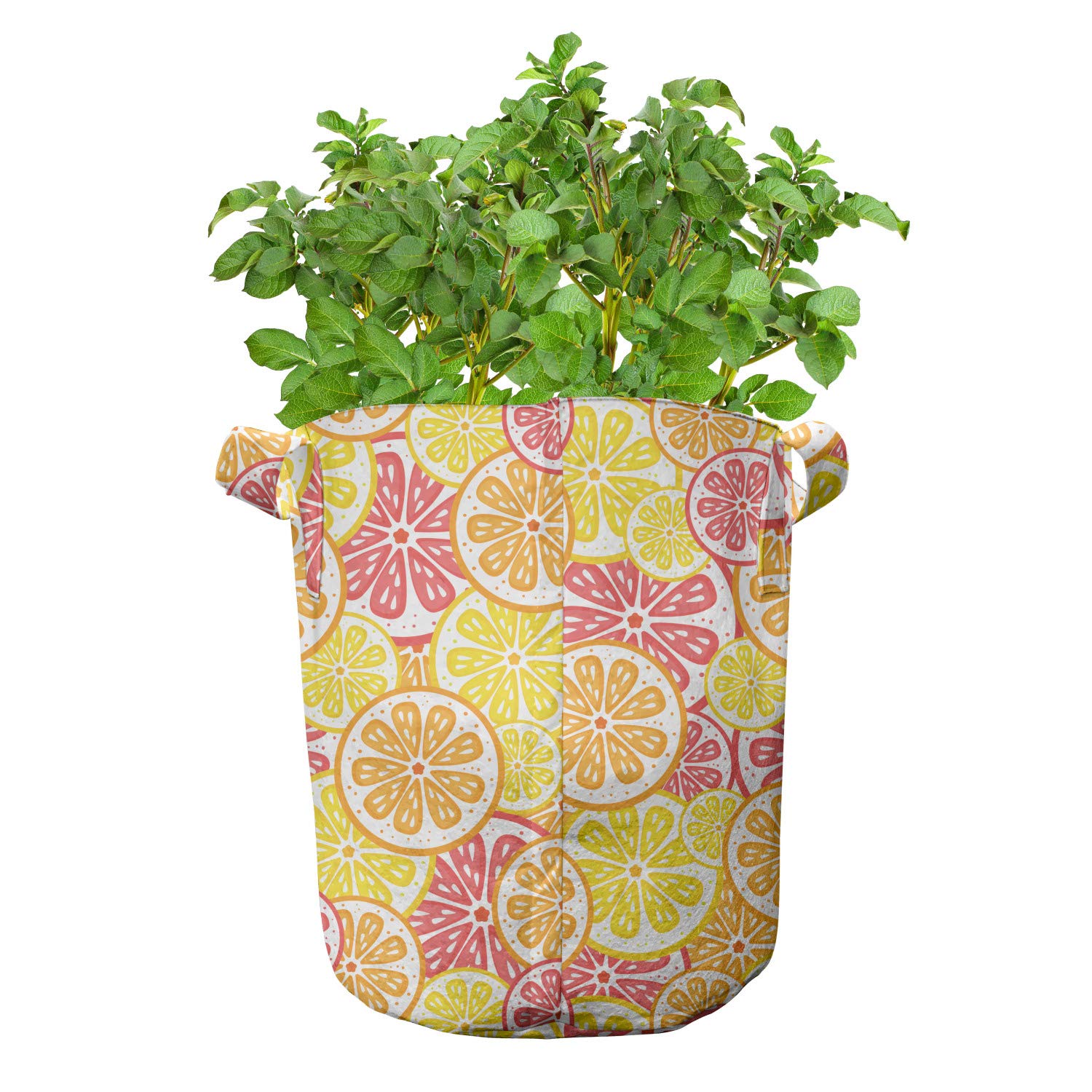 Ambesonne 5-Pack Heavy Duty Fabric Grow Bags with Handles - Citrus Fruit Pattern in Orange & Yellow - Durable Plant Pots for Indoor/Outdoor Gardening, Balcony & Patio Decor