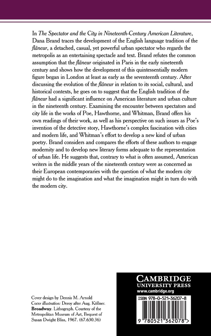 19th Century American Literature: Urban Perspectives & The Spectator's Role | Historical Fiction Analysis & City Life Exploration