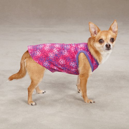Premium Cotton Carolina Dog Tank Top for Women - XX-Small (8-Inch) in Raspberry Red | Comfortable Summer Casual Wear for Dog Lovers