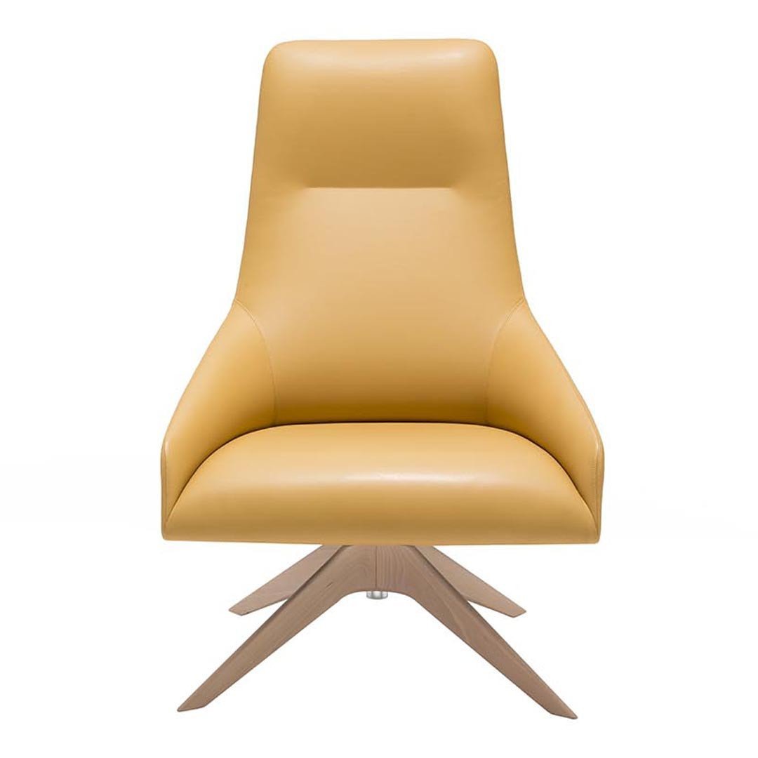 Alya BU1521 Modern Lounge Chair - Comfortable Accent Chair for Living Room, Bedroom & Office - Perfect for Relaxing, Reading & Lounging