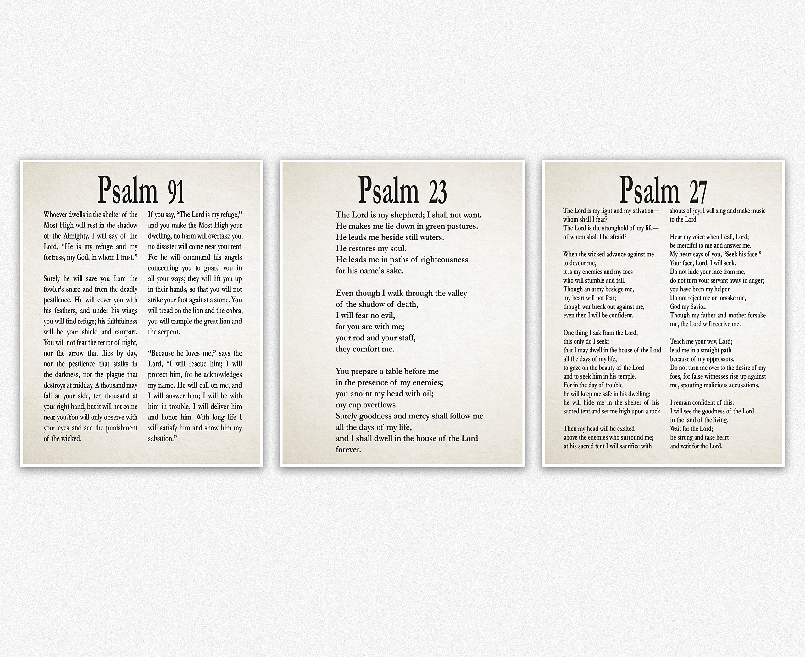Psalm 91:23 & Psalm 27 Scripture Bible Verse Wall Art - Christian Home Decor, Inspirational Bible Quote Prints, Spiritual Gifts, Ready to Frame 8x10 Wall Artwork for Bedroom, Living Room & Prayer Space