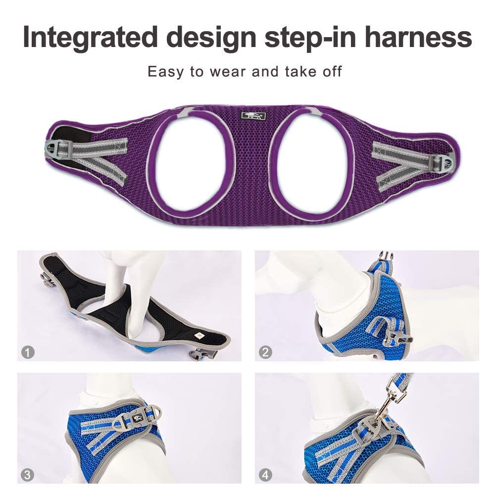 Escape-Proof Adjustable Reflective Dog & Cat Harness with Leash - Soft Mesh Comfort Fit No-Pull Vest for Small & Medium Pets (XS, Purple) - Perfect for Walking, Training & Outdoor Adventures