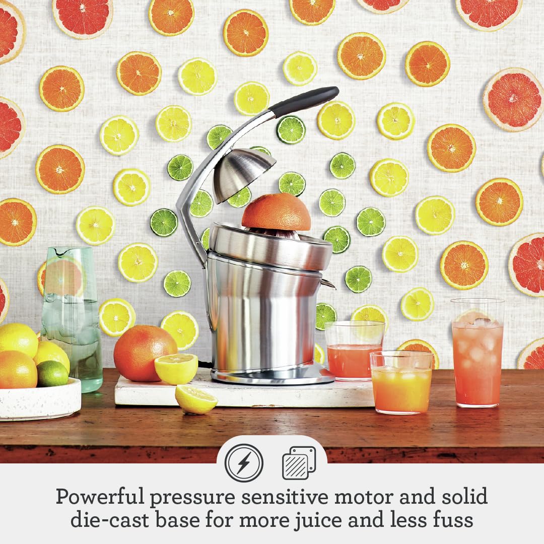 Breville 800CPXL Professional Citrus Juicer - Stainless Steel Electric Orange & Lemon Press - Perfect for Fresh Juice Bars, Breakfast Restaurants & Healthy Home Kitchens