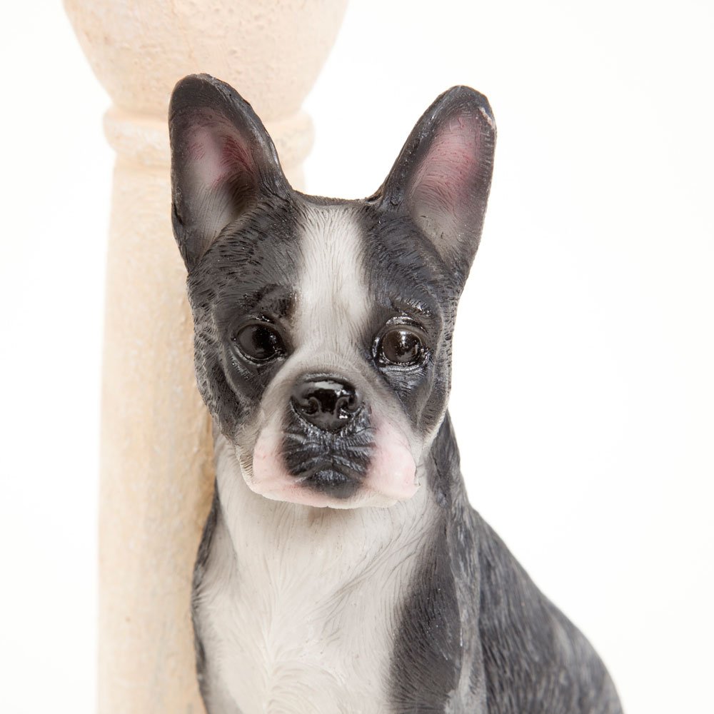 Solar Powered Boston Terrier Lantern - LED Resin Dog Sculpture for Garden Decor, Outdoor Pathway Lighting, Patio & Yard Ornament - Weatherproof Solar Garden Light