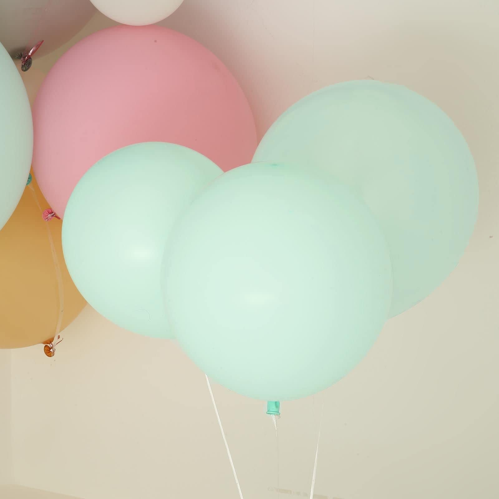 Efavormart 10 Pack 18 Inch Large Pastel Seafoam Round Latex Balloons for Helium or Air - Perfect for Birthday Parties, Baby Showers, Weddings & Special Events