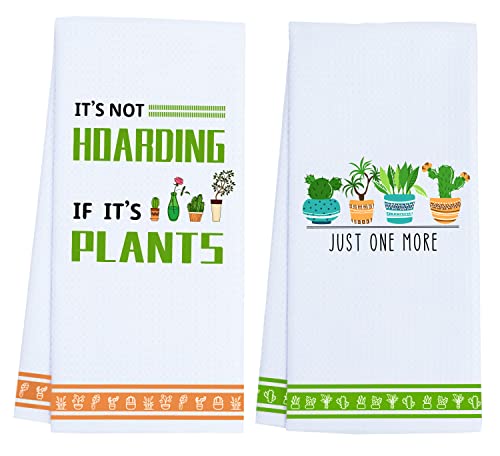 2 Pack-more Plants
