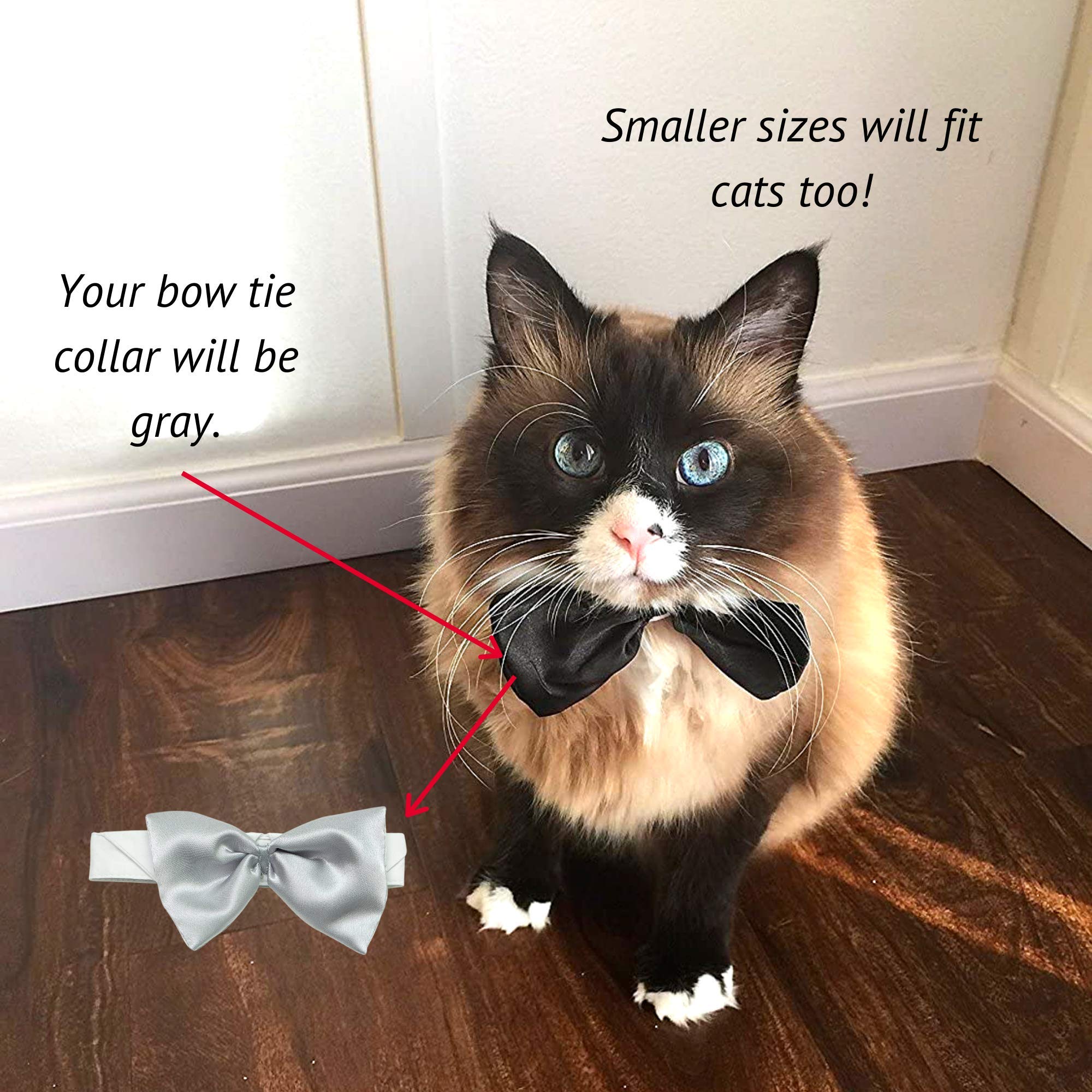 Midlee Medium Gray Satin Bow Tie Dog Collar for Weddings, Parties & Special Occasions - Adjustable Pet Neck Accessory for Small to Medium Dogs
