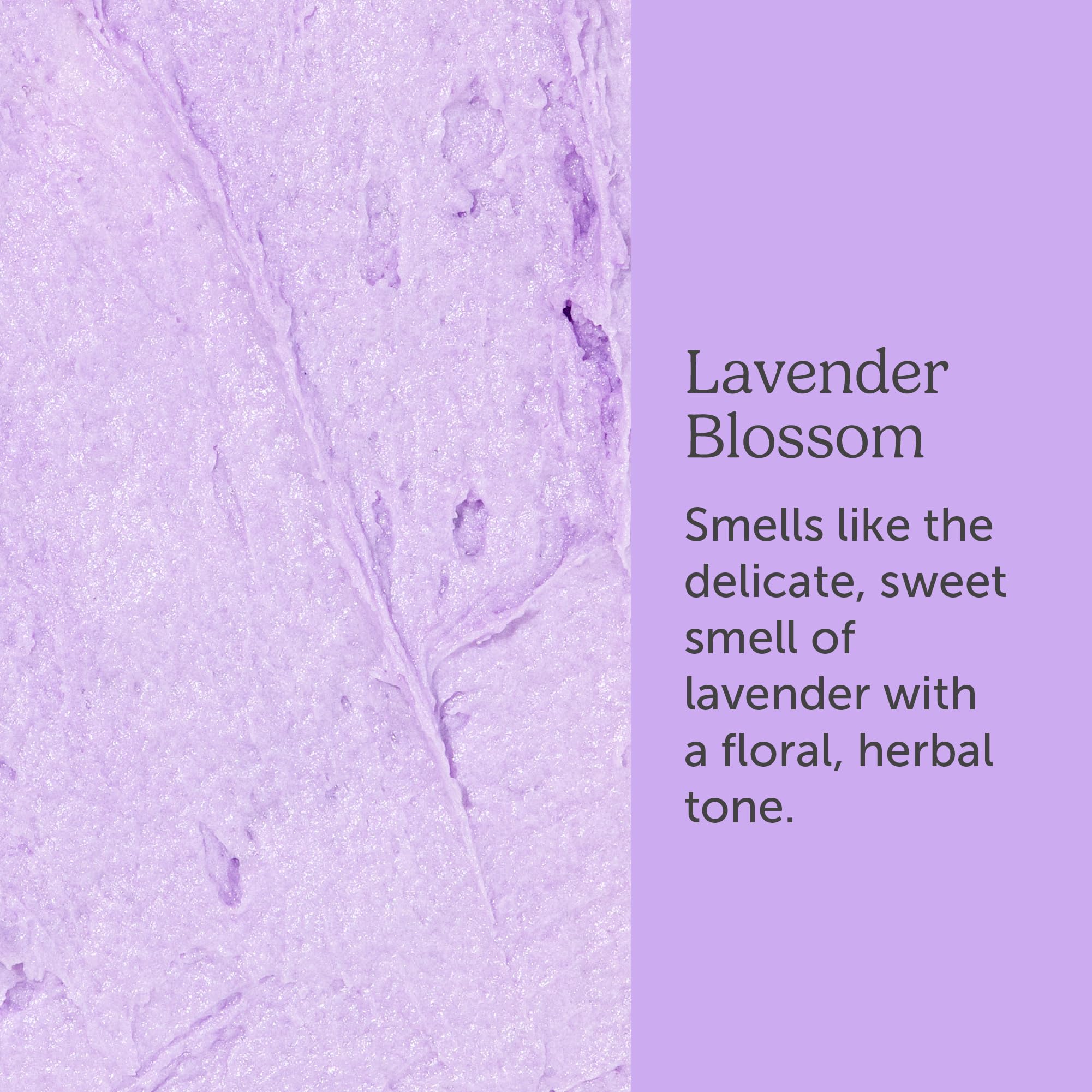 Nectar Life Whipped Soap & Shave Butter - 5oz Lavender Scented for Smooth Shaving & Skin Hydration | Perfect for Men's Grooming & Women's Skincare Routine