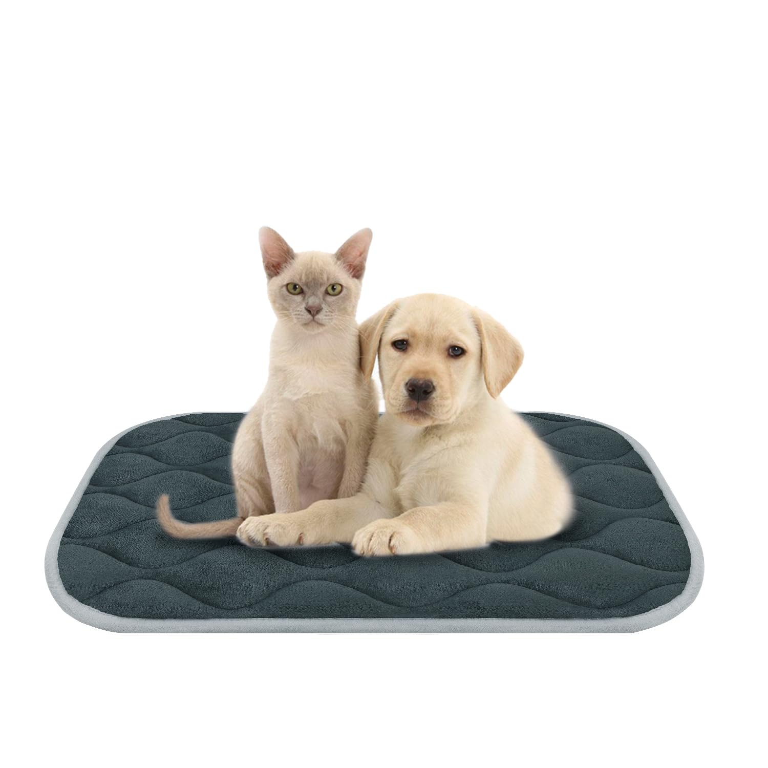 FurryBaby Anti-Slip Dog Bed Mat - Machine Washable Pet Crate Pad for Small Dogs (24x18 Inches, Grey) - Perfect for Kennels, Crates & Home Sleeping Areas