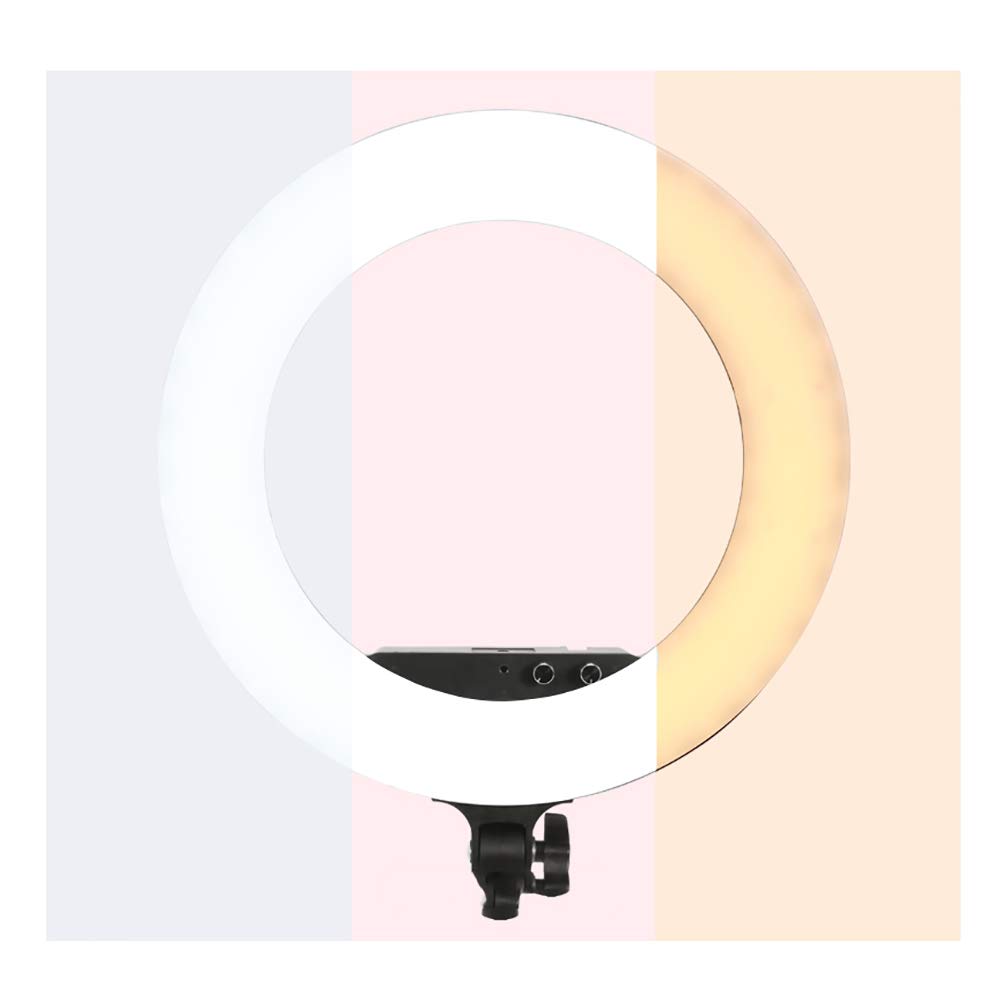 18 Inch Selfie Ring Light with Phone Holder & Flexible Stand - LED Ring Light Kit for Live Streaming, Makeup, YouTube Videos (Perfect for Content Creators, Vloggers & Beauty Tutorials)
