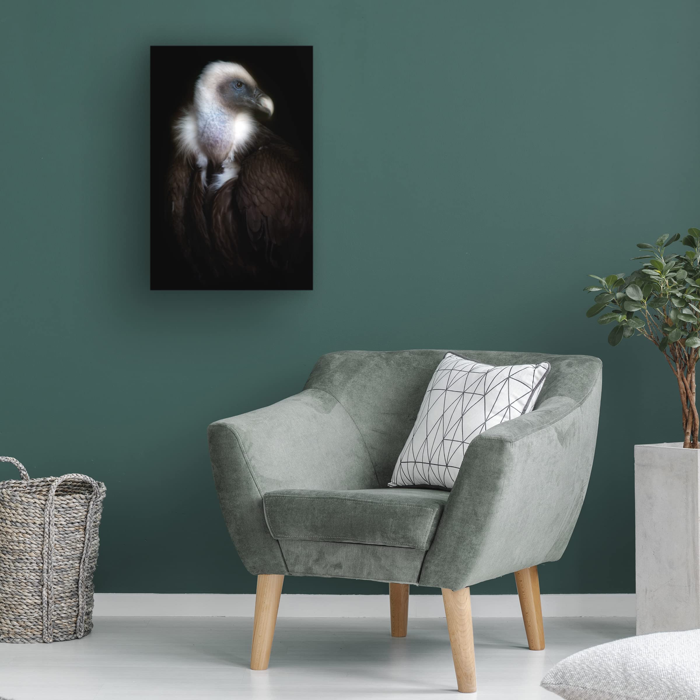 Trademark Fine Art 'Vulture Portrait II' Canvas Wall Art by Santiago Pascual - Wildlife Home Decor for Living Room, Office & Bedroom