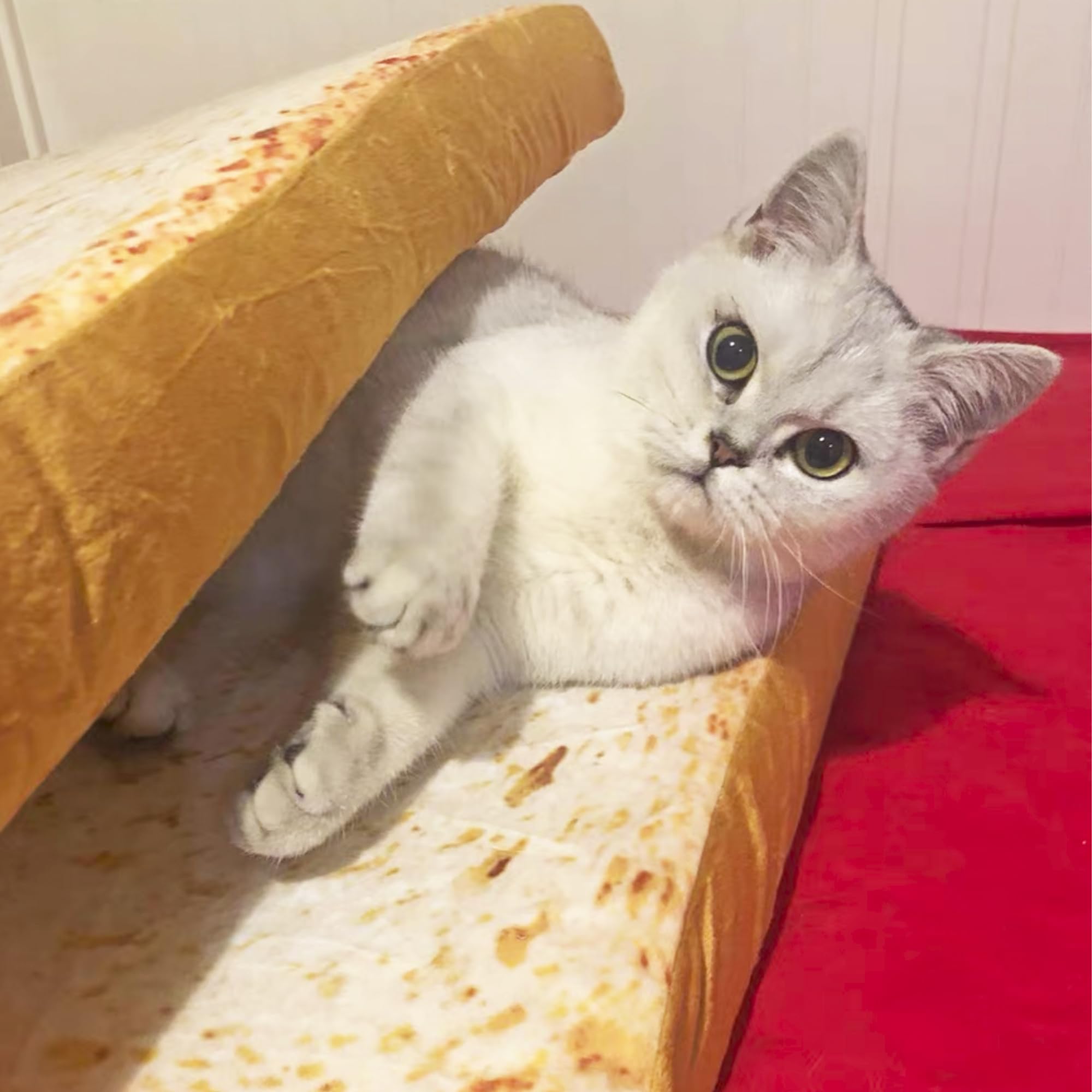 Gefryco Cat Beds for Indoor Cats - Soft Pet Mats & Cushion for Cats & Small Dogs - Creative Toast Bread Slice Mattress with Sponge Core - Perfect for Living Room, Bedroom & Pet Napping Areas