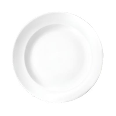 Steelite Distinction 10 Vogue Plate - Premium White Dinner Plate Set (24-Piece Case) for Fine Dining, Restaurants & Elegant Home Entertaining