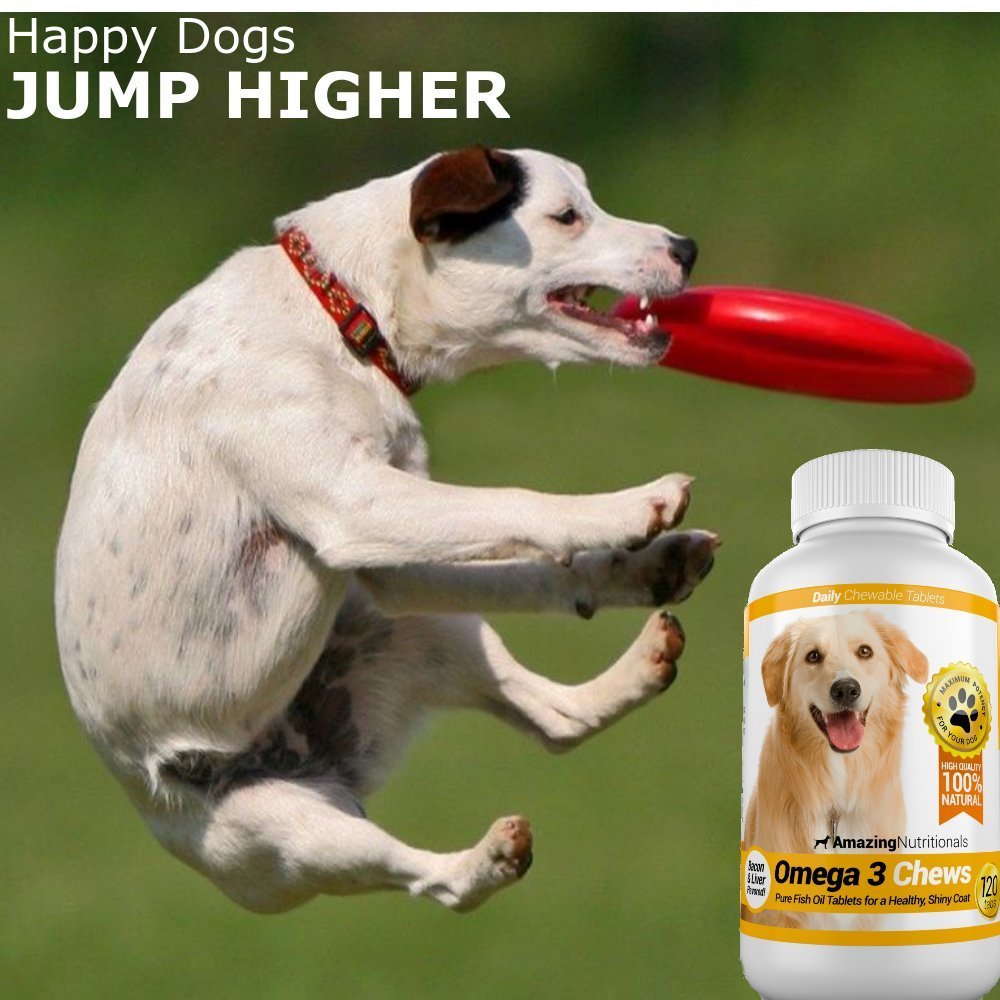 Premium Omega-3 Fish Oil & Turmeric Curcumin Supplement for Dogs - All-Natural Antioxidant Chews for Healthy Skin, Shiny Coat & Joint Support - 120 Tasty Soft Chews (2-Pack) - Ideal for Senior Dogs & Pets with Digestive Issues