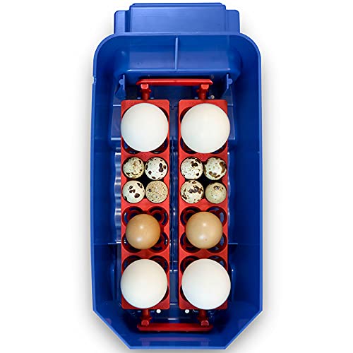 Premier 1 Supplies Borotto Lumia 8 Automatic Egg Incubator with Humidity Pump - Perfect for Poultry Farming, Hatching Chicken Duck Quail Eggs at Home or Farm
