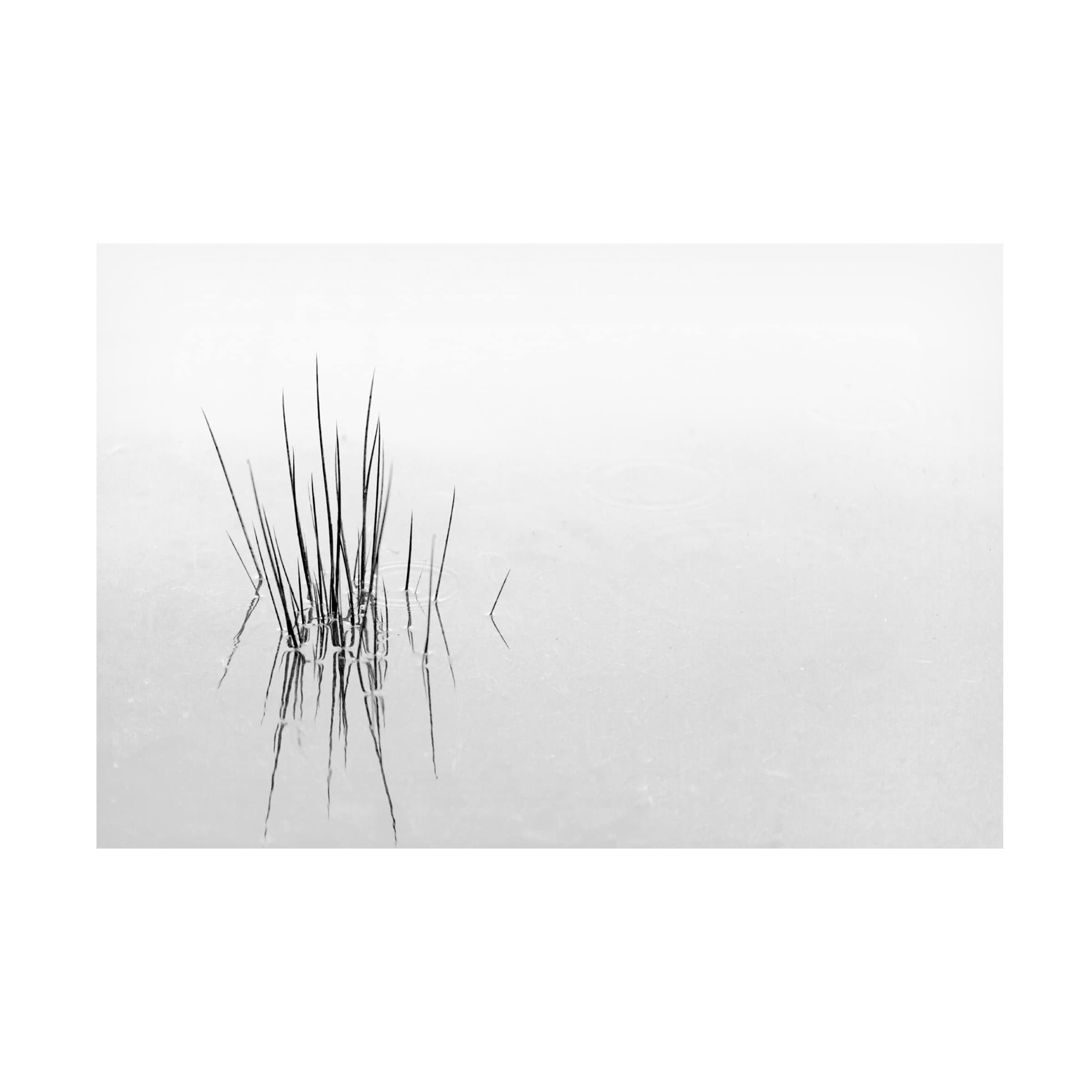 Trademark Fine Art 'Reflections' Canvas Wall Art by Olavo Azevedo - Modern Abstract Painting for Living Room, Bedroom & Office Decor