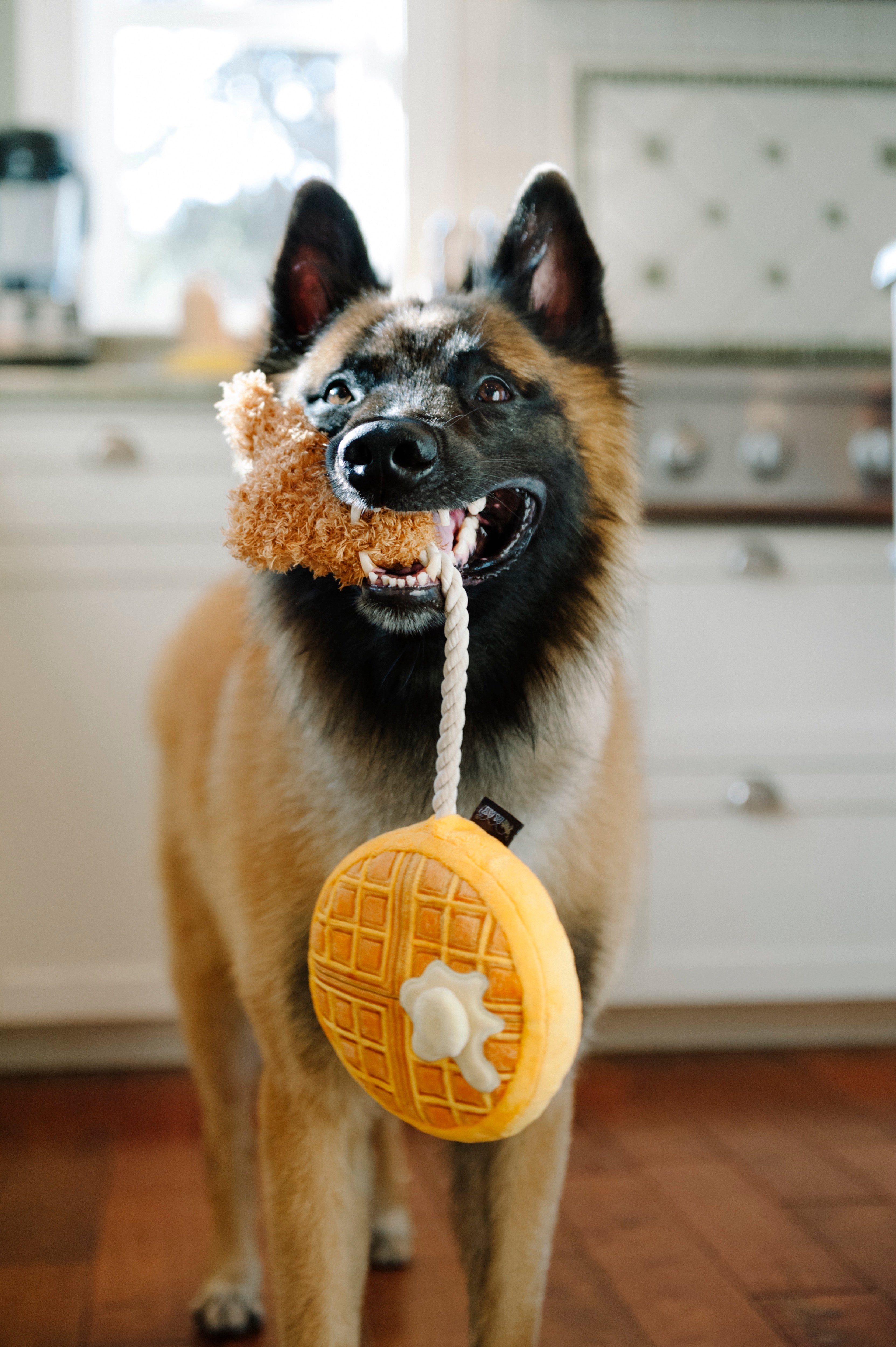 El Pollo y Waffle Plush Dog Toy - Barking Brunch™ Chew Toy for Dogs by Pet P.L.A.Y. | Soft & Durable Puppy Plaything for Fetch, Cuddling & Teething Relief