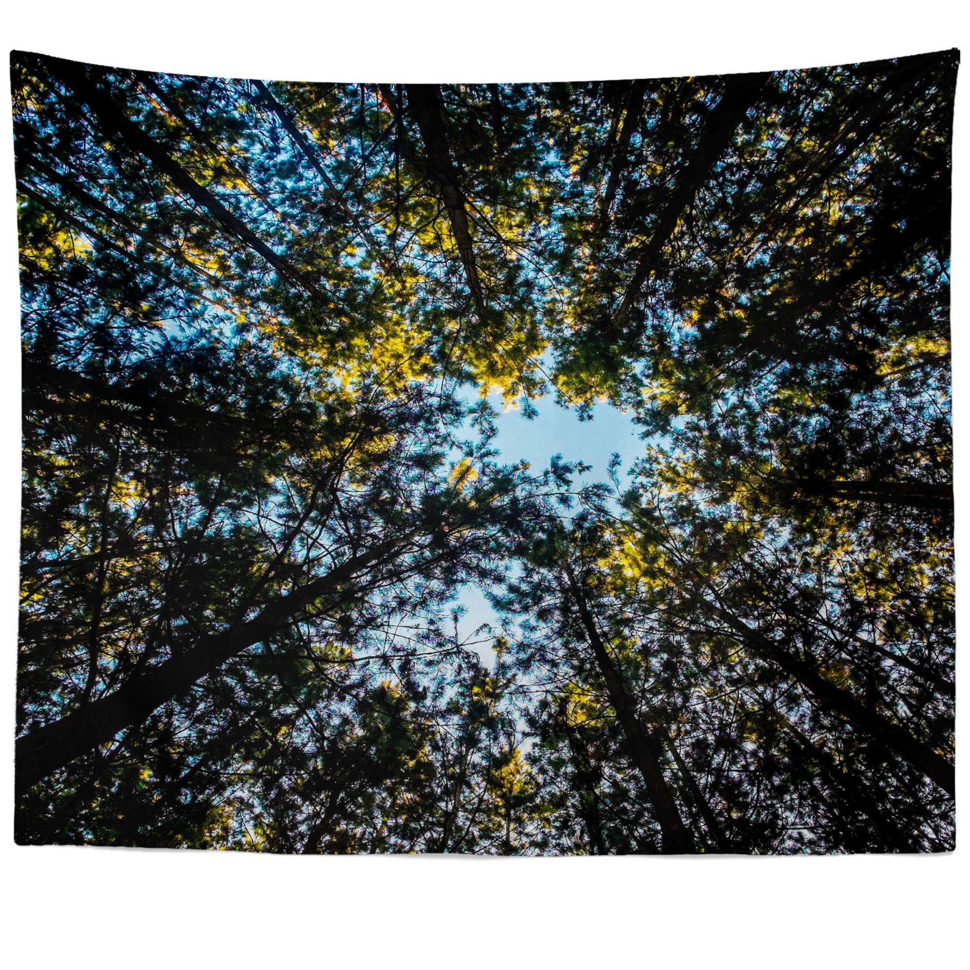 Westlake Art - 51x60in Canopy Tree Photography Tapestry Wall Hanging for Home Decor - Perfect for Living Room, Bedroom & Dorm Wall Art