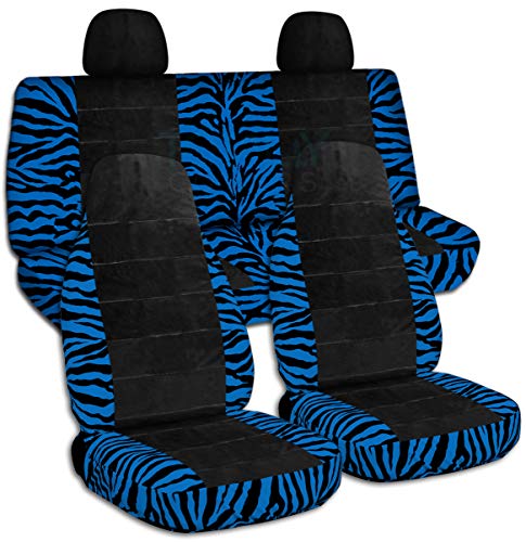 Blue Zebra & Black