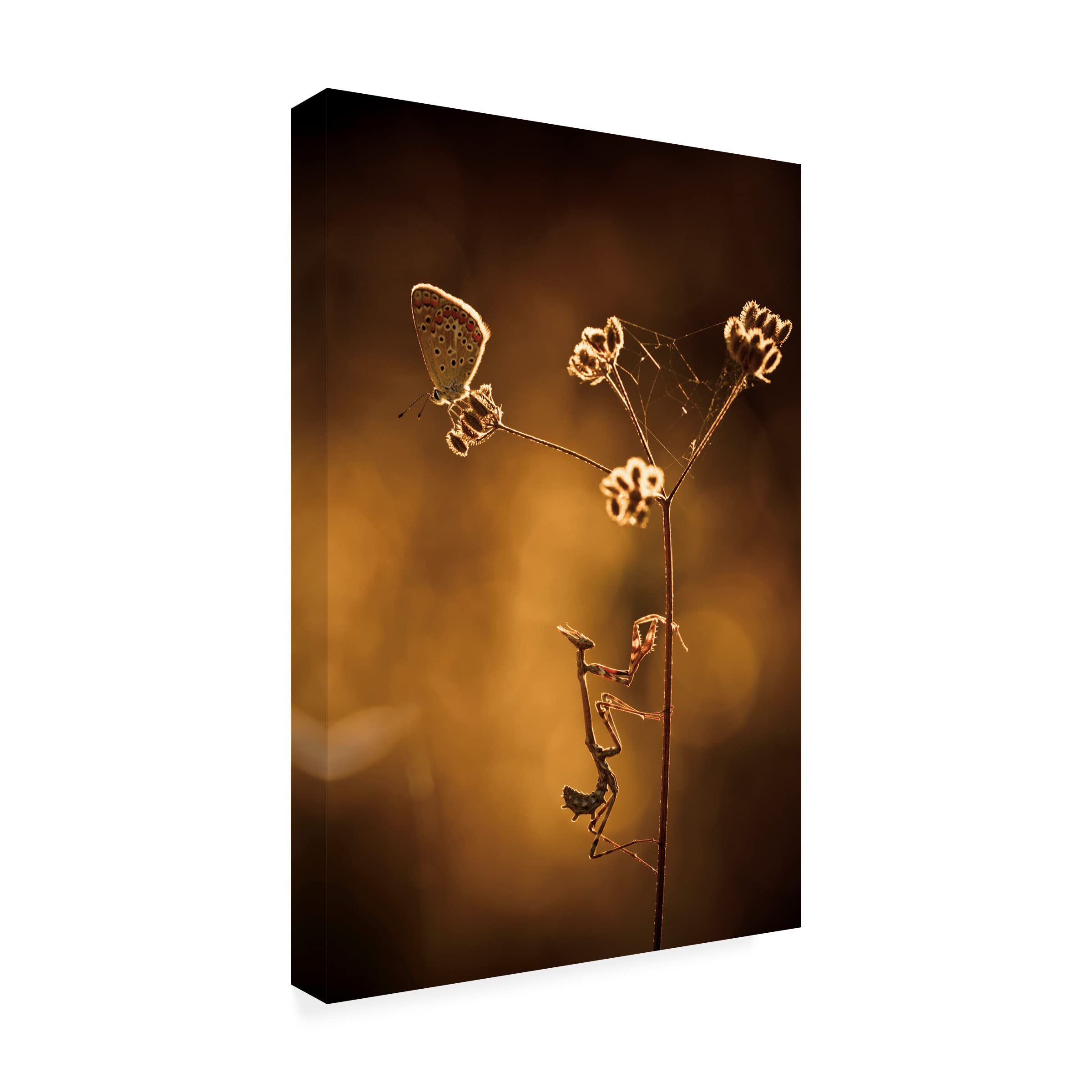 Fabien BRAVIN 'All I Want Is You' Canvas Wall Art Print - Romantic Couple Painting for Bedroom, Living Room & Home Decor - Perfect Gift for Anniversary & Valentine's Day