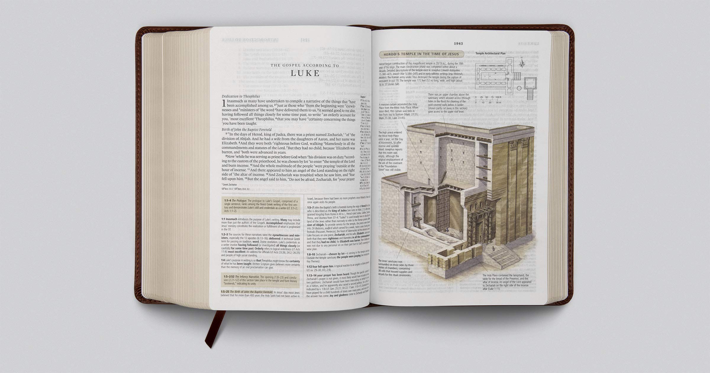 ESV Study Bible Personal Size - TruTone Leather Cover with Saddle Stitch & Ornamental Design | Compact Scripture Study for Daily Devotion, Church Use & Travel Bible