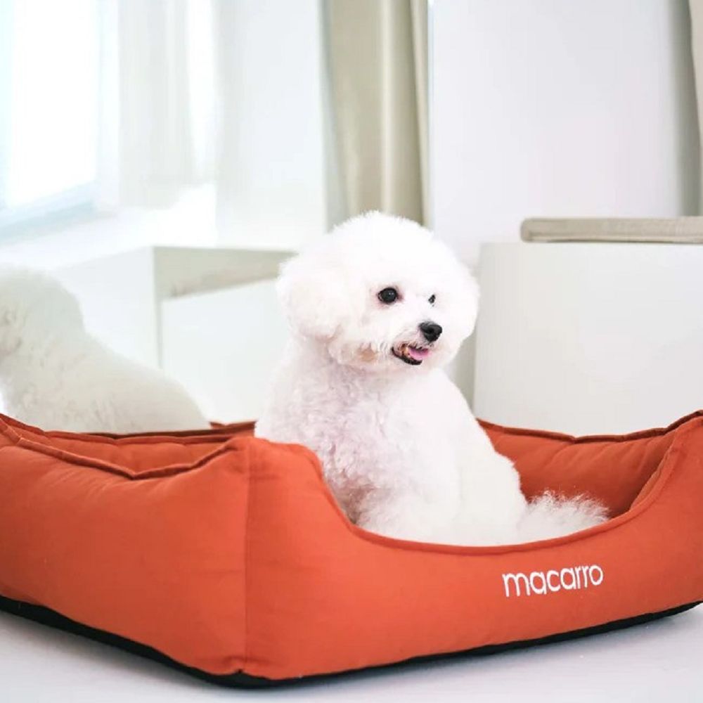 Premium Cotton Latex Pet Bed - Ultra Soft & Durable Dog Cat Bed for Small Medium Large Pets - Perfect for Indoor, Outdoor, Crate & Car Use