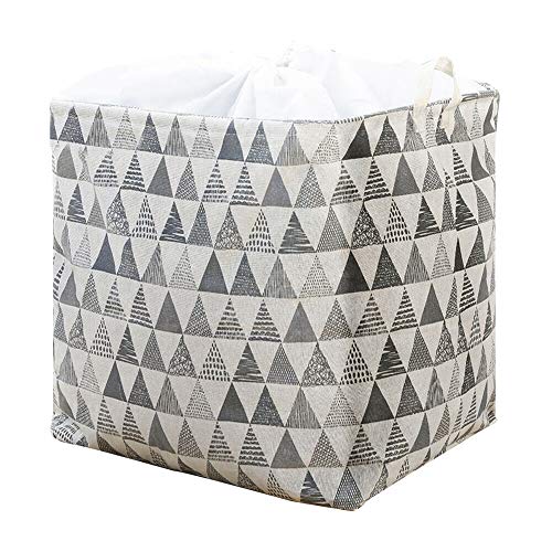 100L-Blue Triangle
