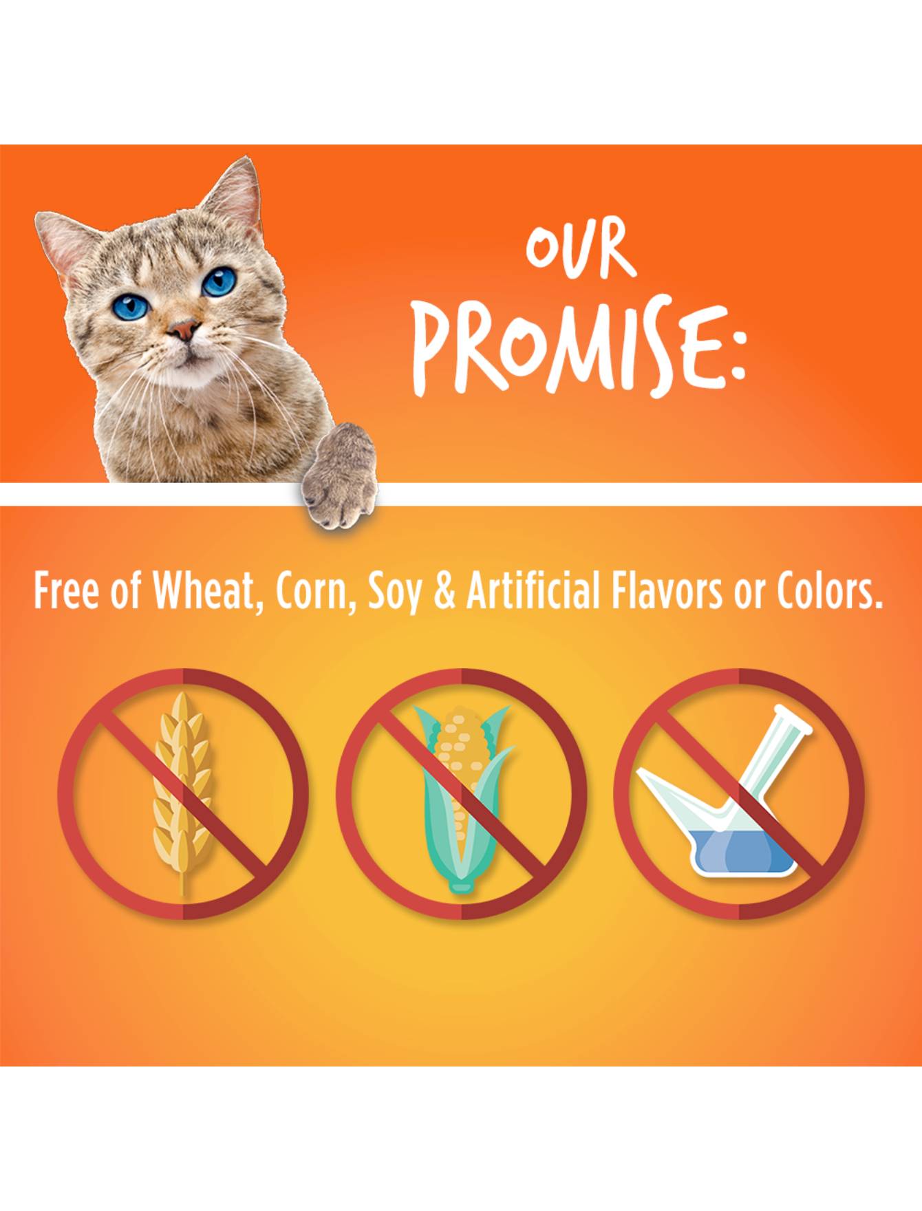 Fruitables Crunchy Tuna with Pumpkin Cat Treats 2.5oz - Healthy Natural Cat Snacks for Indoor Cats - Perfect for Training, Rewards & Dental Health