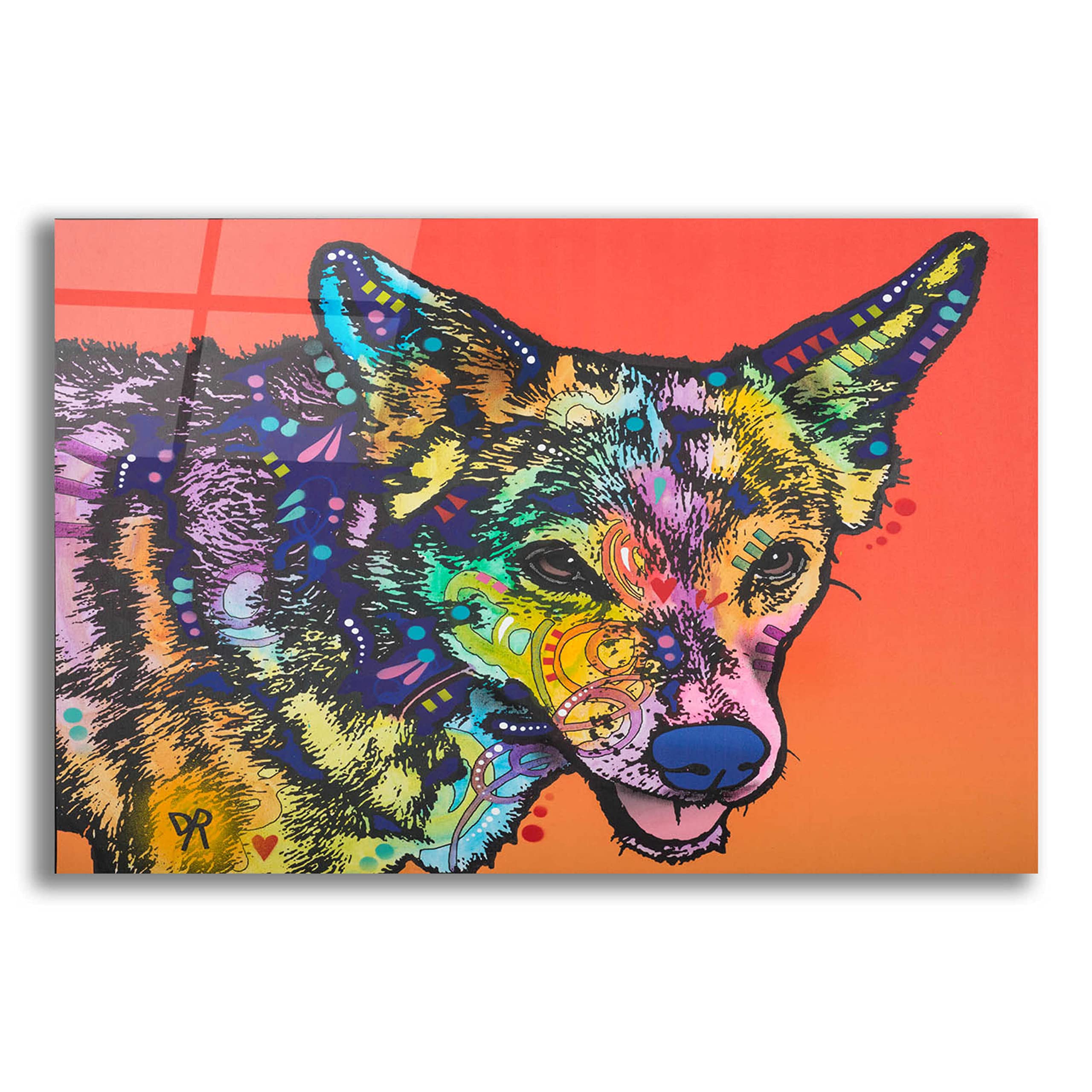 Epic Art 'Max' by Dean Russo - Vibrant Acrylic Glass Wall Art 24x16 Inches - Perfect for Living Room, Bedroom & Office Decor