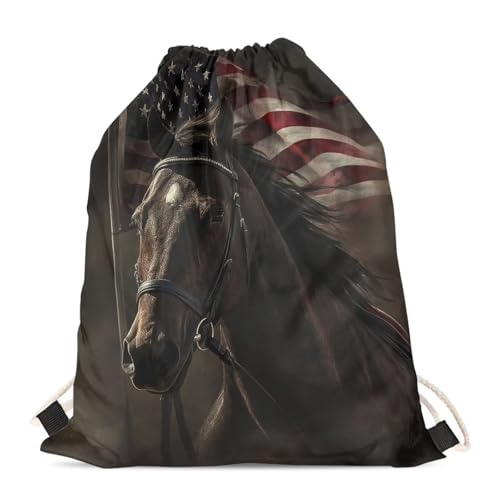 American Flag Horse