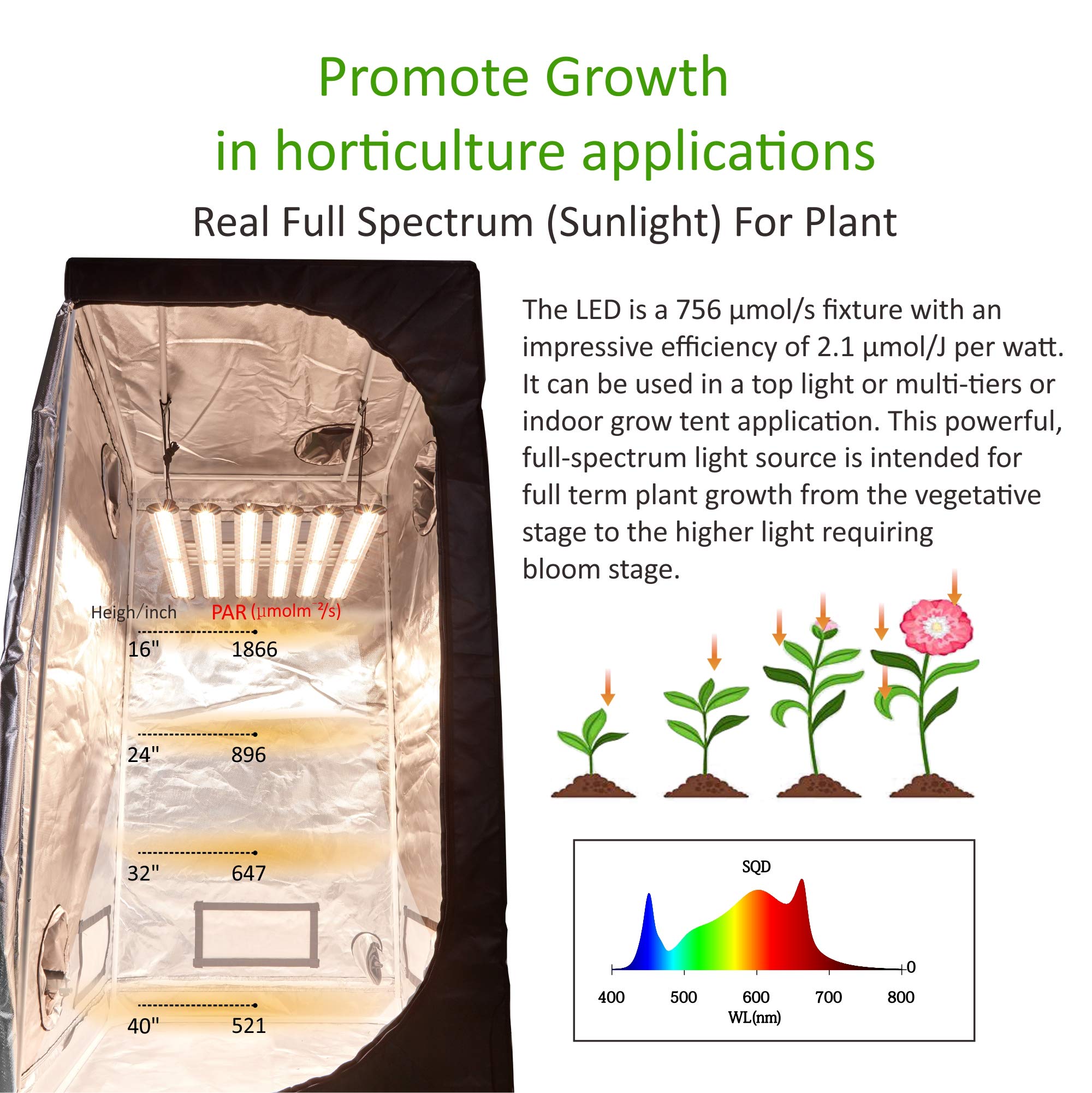 360W Full Spectrum LED Grow Light with 6 Strips (1500W Equivalent) - Advanced Plant Light for Indoor Plants, Greenhouse, Hydroponic Vegetables & Flower Growth | Perfect for Home Gardening, Vertical Farming & Commercial Cultivation