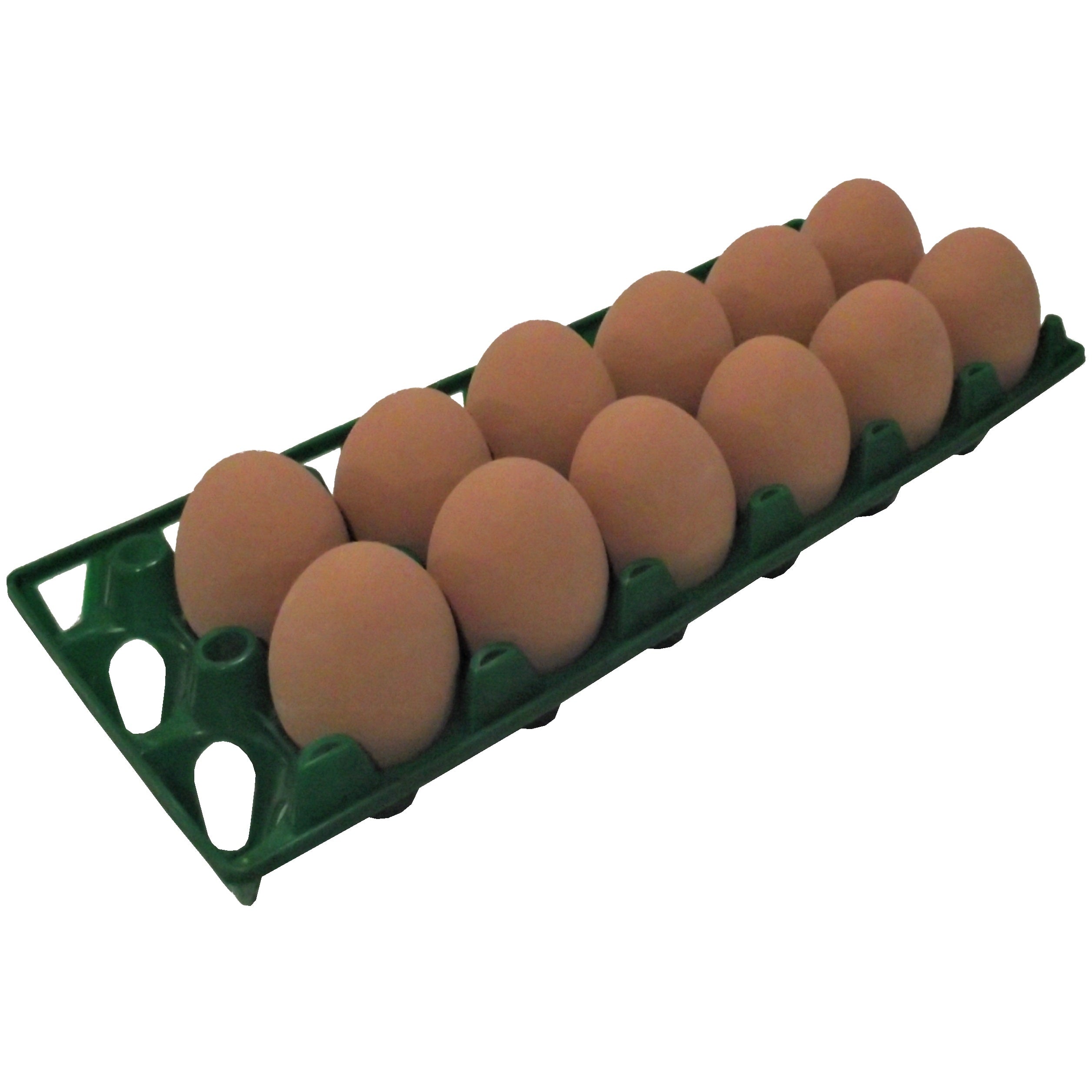 12 Pack of Rite Farm Chicken Egg Poly Trays - Durable Plastic Egg Cartons for Farm Fresh Eggs, Poultry Storage & Farmers Market Use