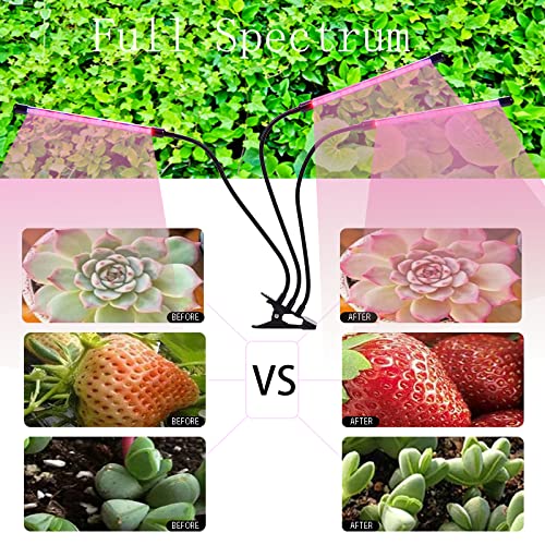 3 Head Full Spectrum LED Plant Grow Light with Timer, Adjustable Goose Neck & Clip - DC 5V Safe Indoor Gardening Lamp for Herbs, Flowers, Seedlings - Perfect for Home, Office & Greenhouse Use